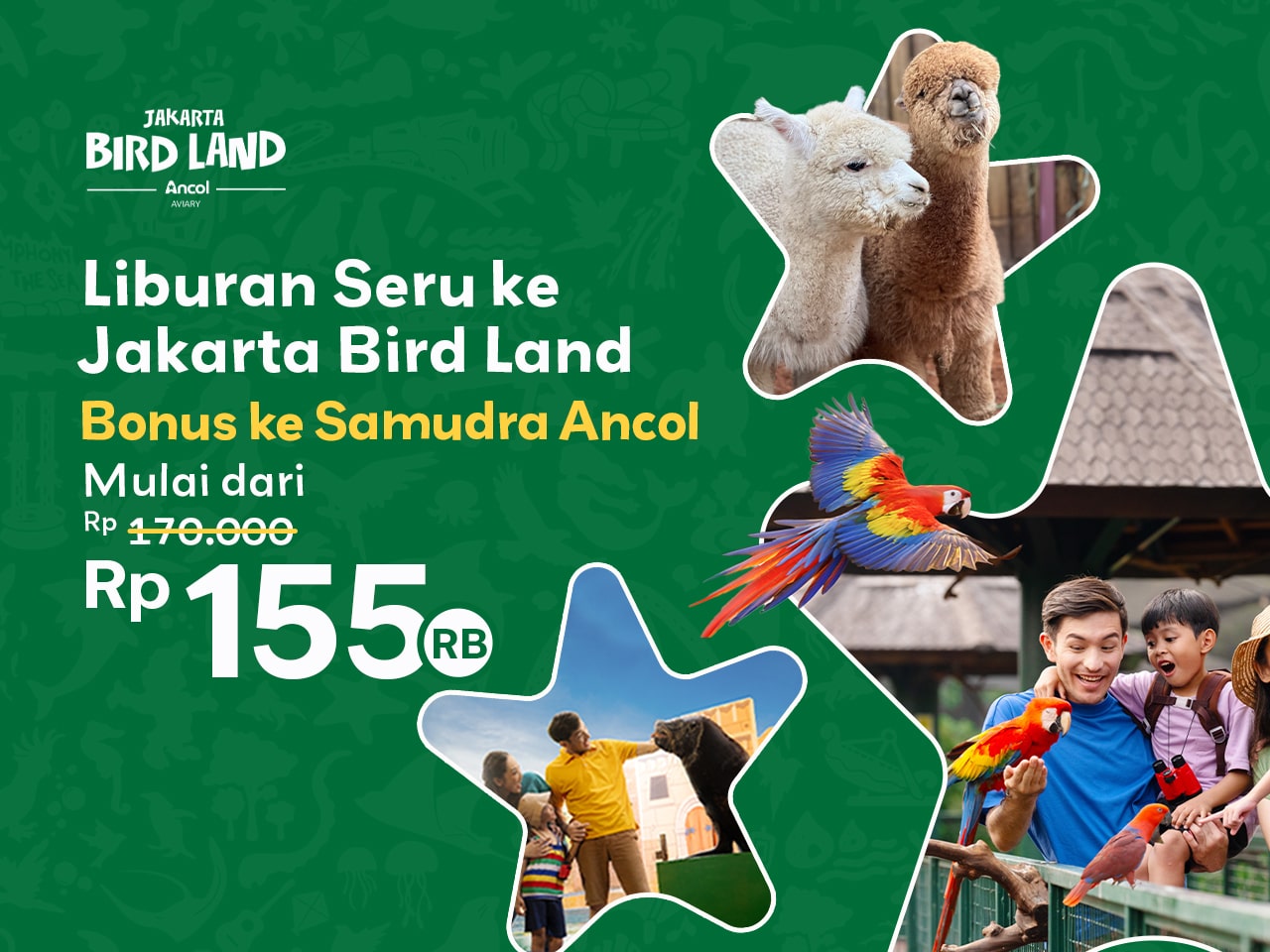 Liburan Seru ke Jakarta Bird Land Bonus ke Samudra Ancol cuma 155RB